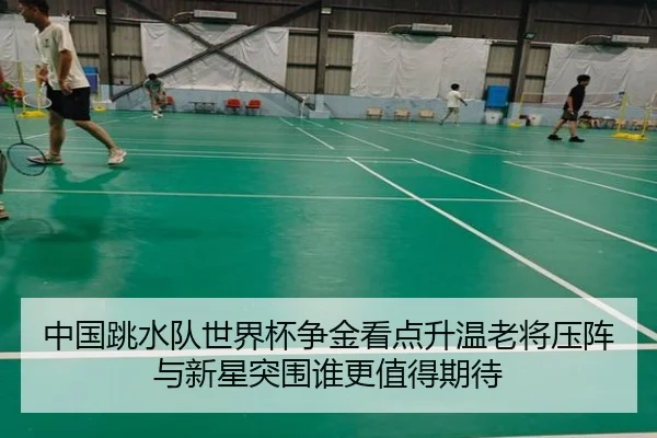 中国跳水队世界杯争金看点升温老将压阵与新星突围谁更值得期待